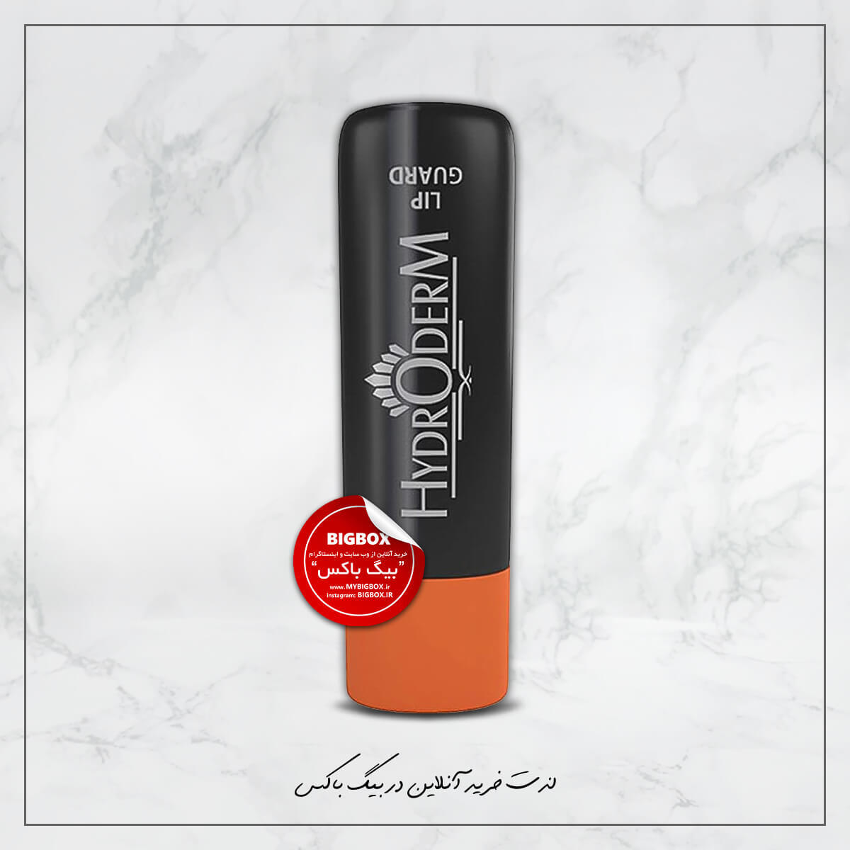  بالم لب آقایان هیدرودرم Lip Guard Spf20 