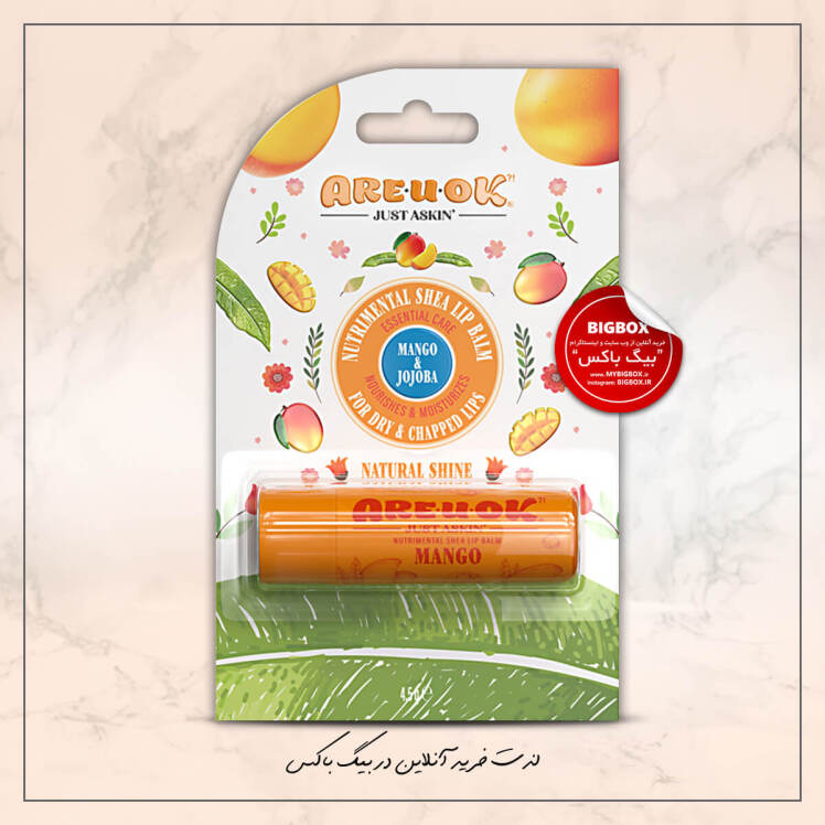 بالم لب مرطوب کننده انبه آر یو اوکی 4.5 گرم