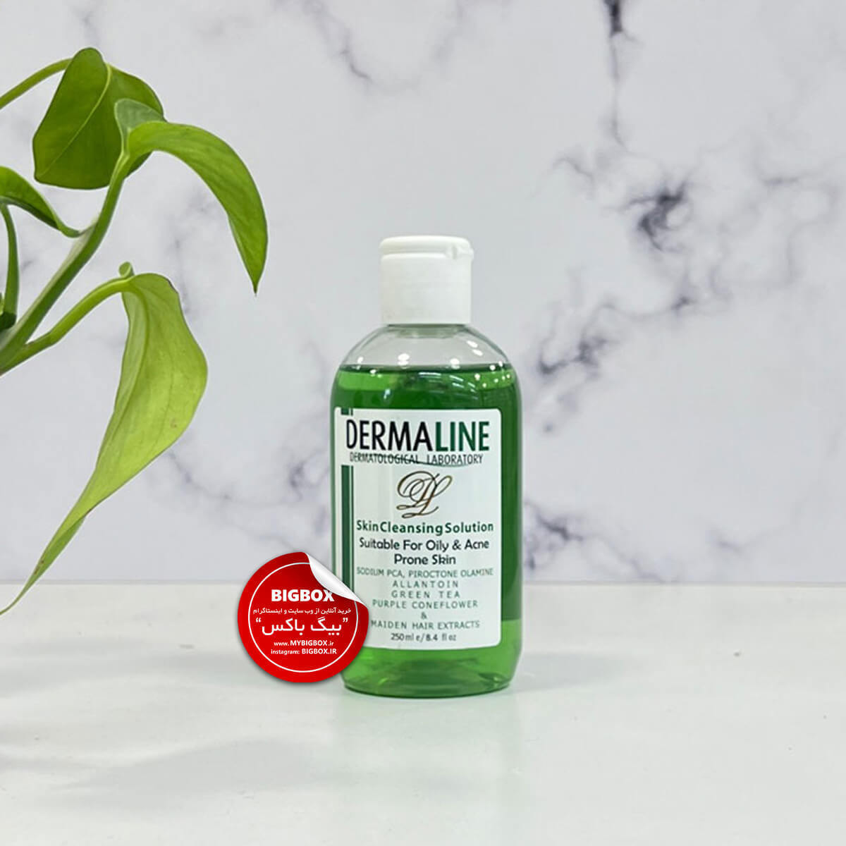  محلول پاک‌کننده پوست چرب درمالاین Oily Skin 